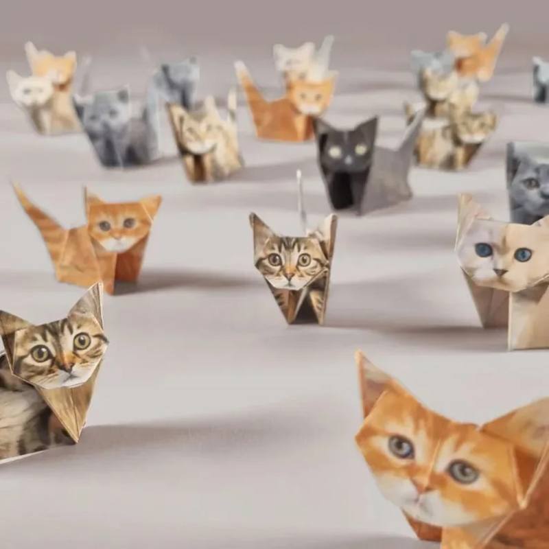 Yaratıcı Kendin Yap Kağıt Kedi - Art Craft Birthday Party incelemesi ve fiyatı