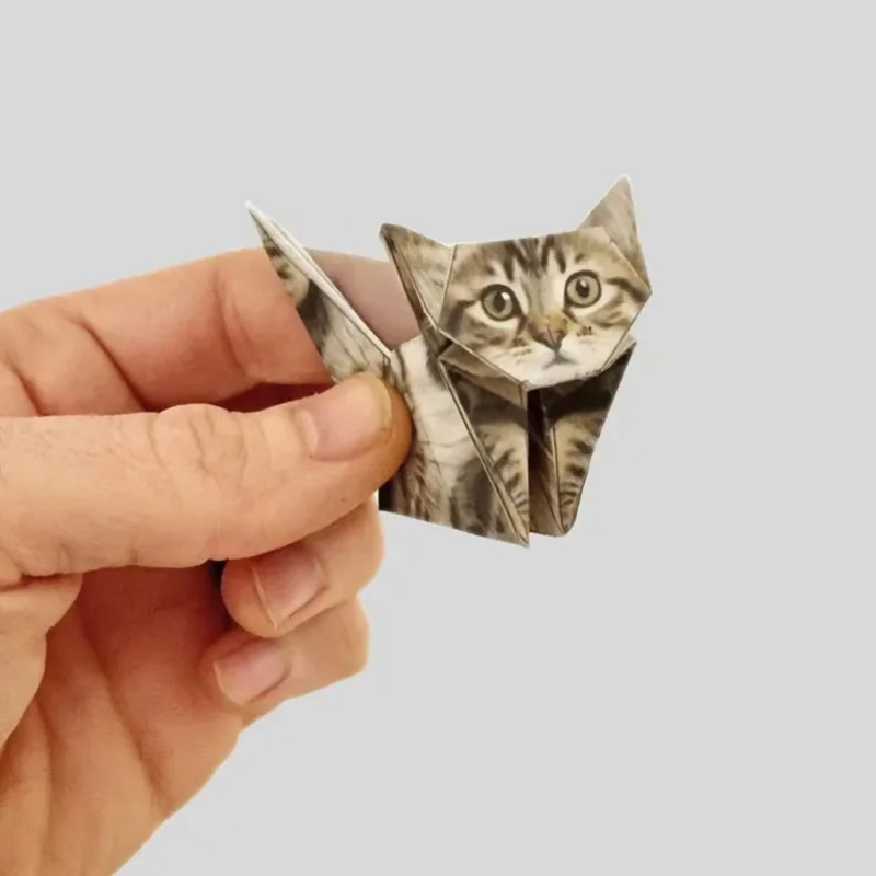 Yaratıcı Kendin Yap Kağıt Kedi - Art Craft Birthday Party incelemesi ve fiyatı